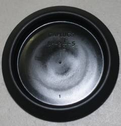 2-1/2" Floor Plug